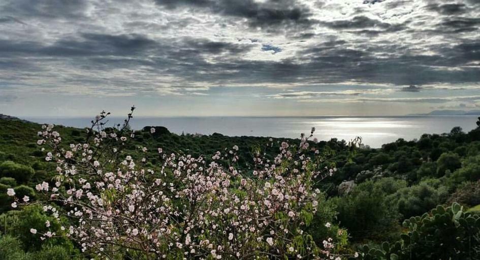 Salmagilandia Hotell Terra Mala Exteriör bild