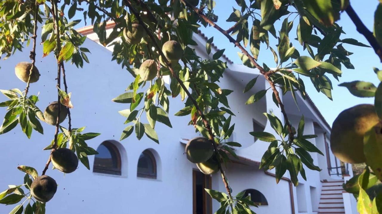 Salmagilandia Hotell Terra Mala Exteriör bild